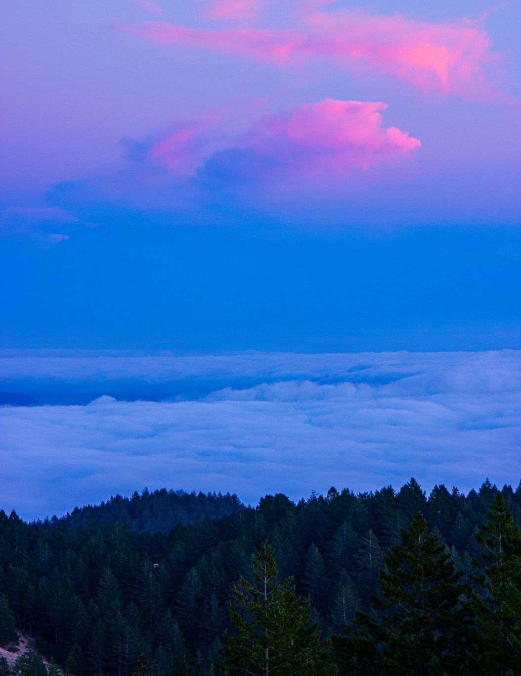 Photograph by Patrick Nienaber