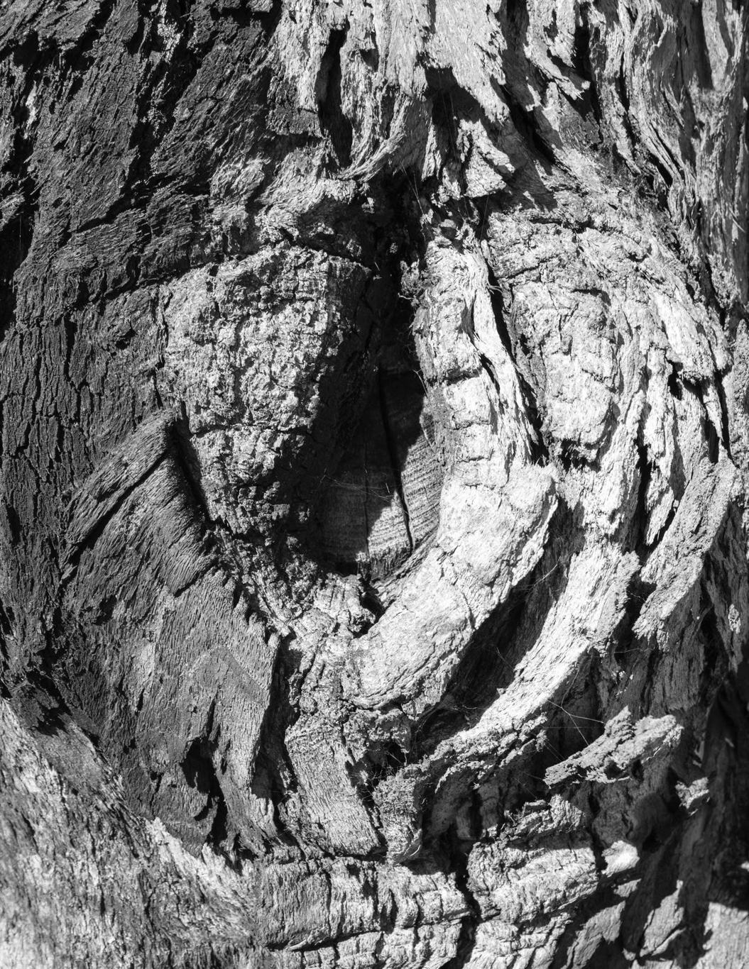 Photograph by Patrick Nienaber
