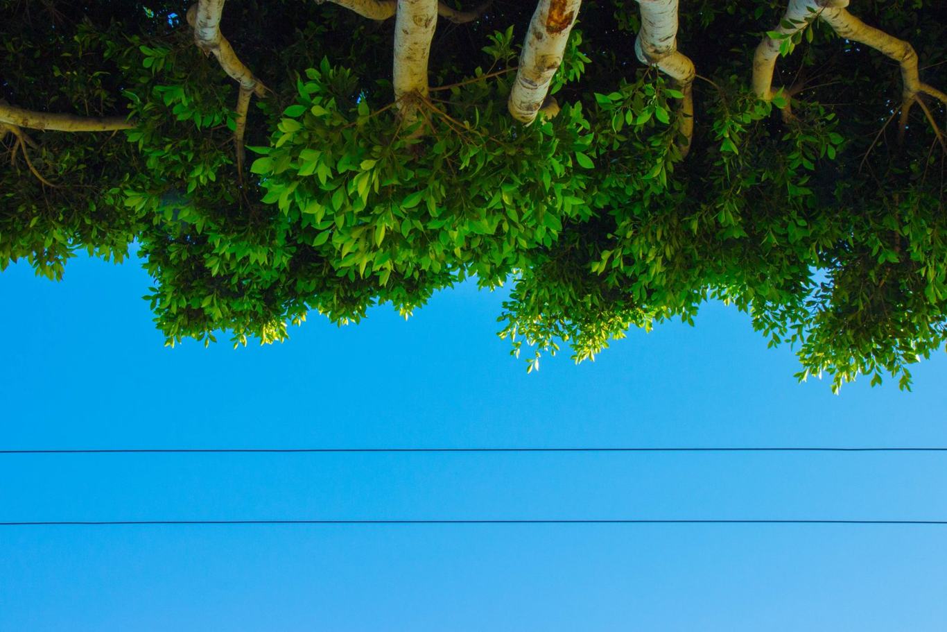 Photograph by Patrick Nienaber